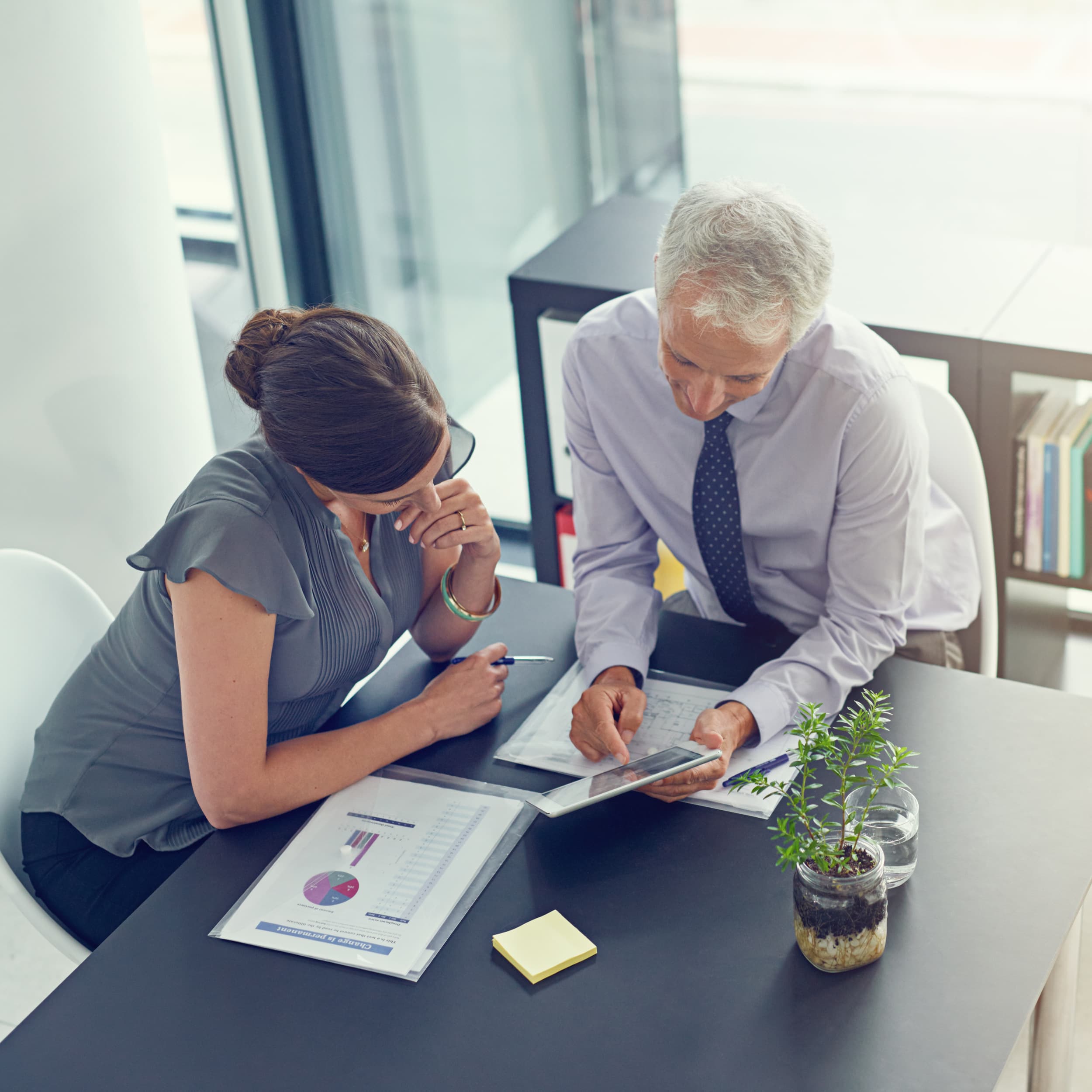 Business professionals reviewing documents